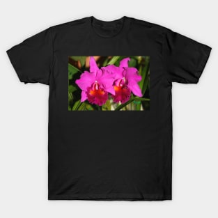 Bright Pink Orchids T-Shirt